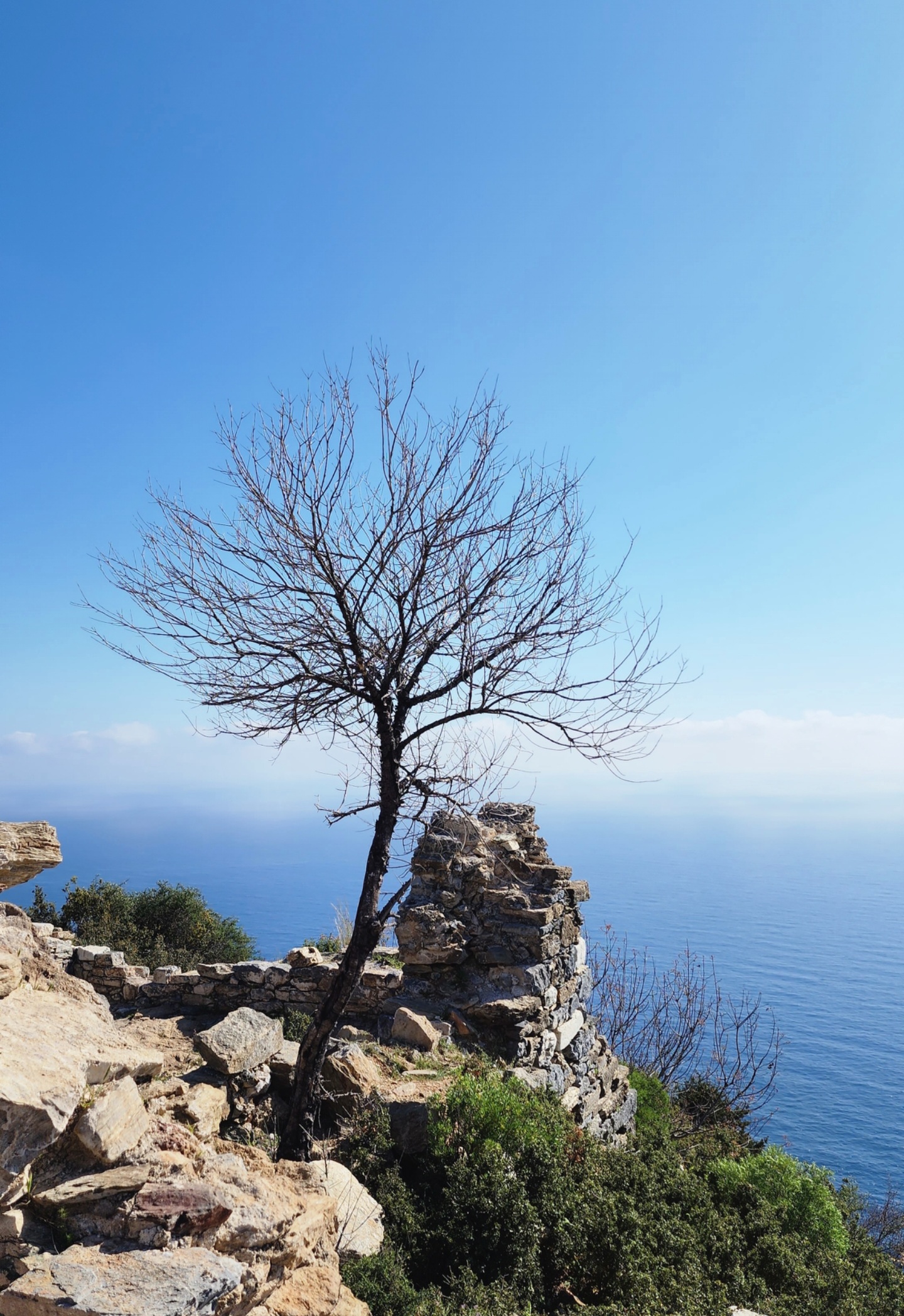 Taşınmazların Taşınmaz Hikâyesi